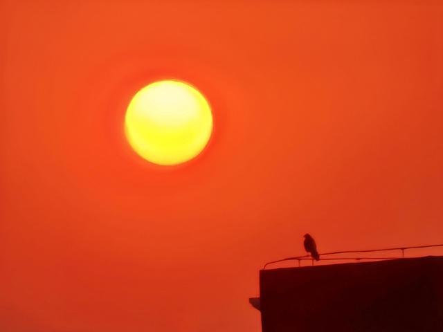 夕阳为京城加上金红色滤镜，绘就冬日诗意美景