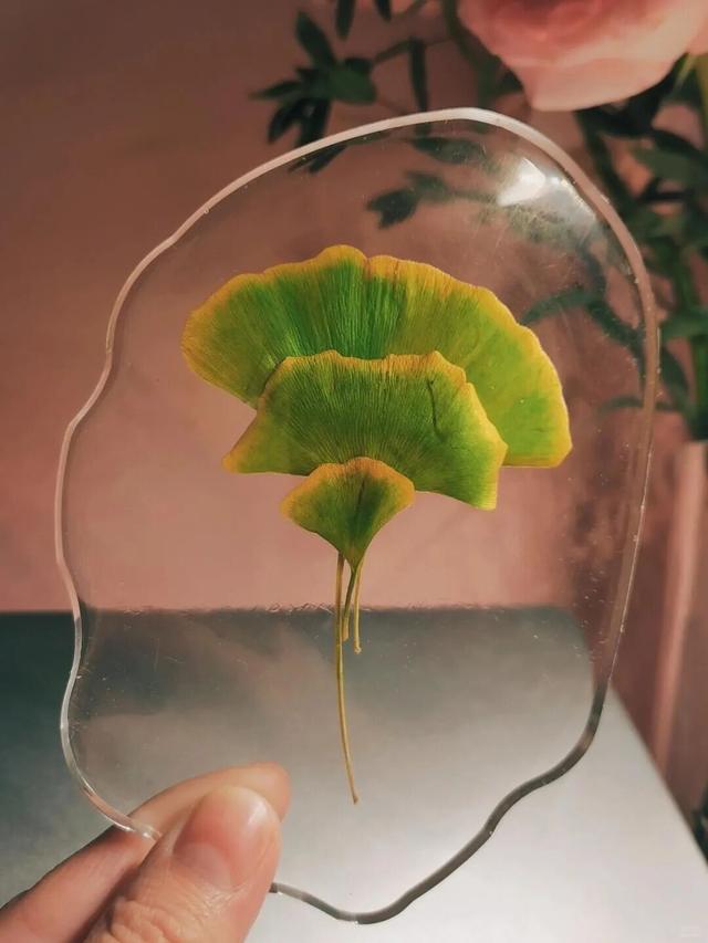 秋日限定“双骄”：从赏到玩转的完整攻略！