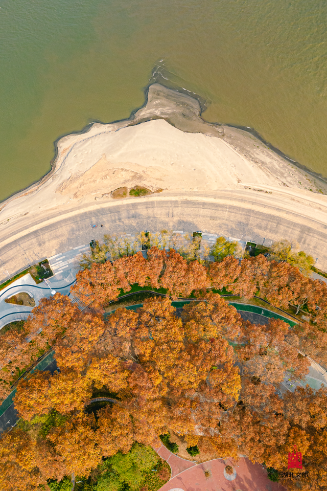 寒潮倒计时！再不来就迟了