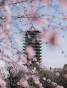 解密北大 | 博雅塔是什么塔？