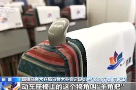 高铁座椅上的“犄角”有什么用处？这些“隐藏道具”你都知道吗？图片