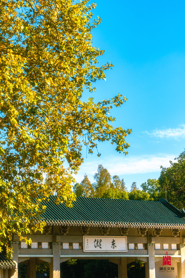 寒潮倒计时！再不来就迟了
