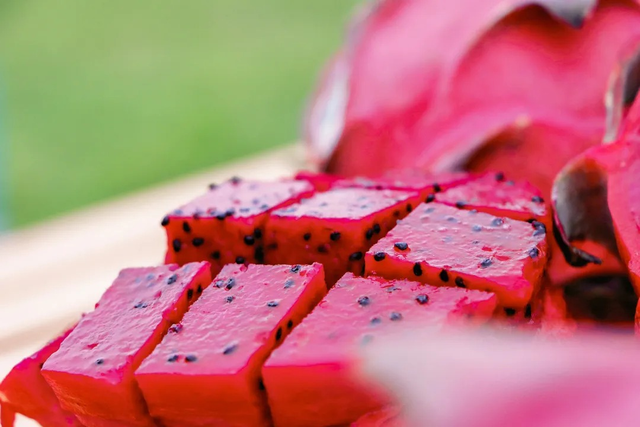 南宁冬季水果采摘全攻略 | 东北老铁、西北家人，告别猫冬！来南宁实现“水果自由”