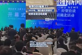 世界500强来了图片