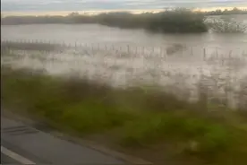 大豆玉米产量堪忧？阿根廷突遭暴雨洪涝 农民或推迟收割图片