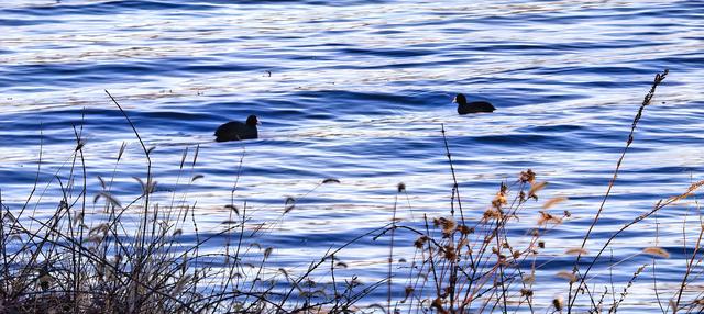 雪后的大运河森林公园，活力满满