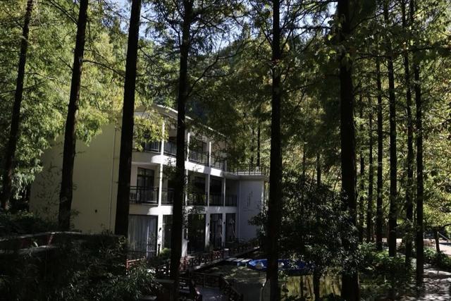 晚潮｜北山遇见