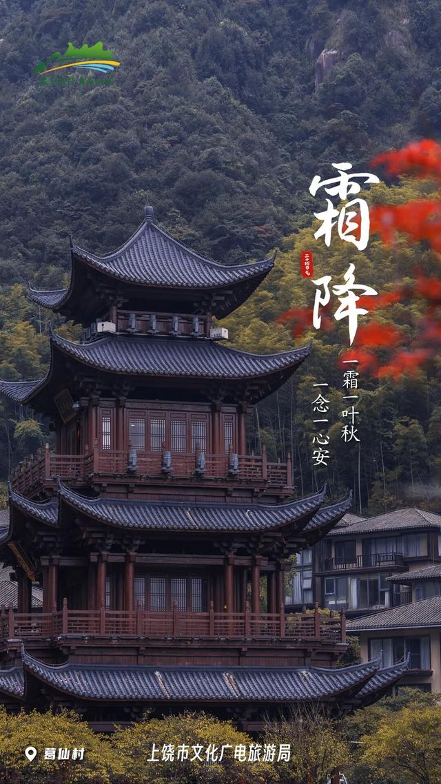 今日霜降丨风裁霜华，人间温澜