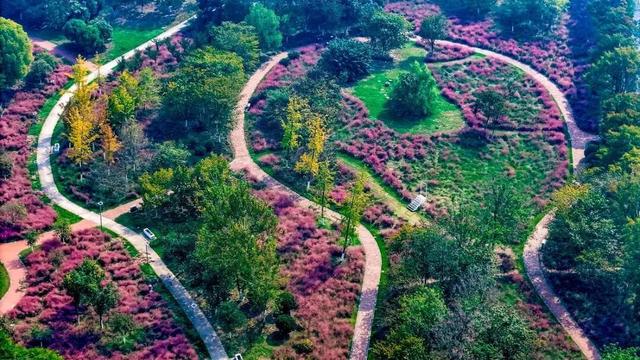 荆州风景地图：从古城墙到浅山，解锁5处限定美色