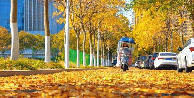 镇 江 开 启 浪 漫 模 式