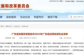 总投资30亿元、3/4面向人工智能！广东发布51个应用场景项目机会图片