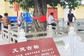 村名印迹|济南市长清区万德街道义灵关村：乾隆南巡茶歇处，古井近旁生古树图片