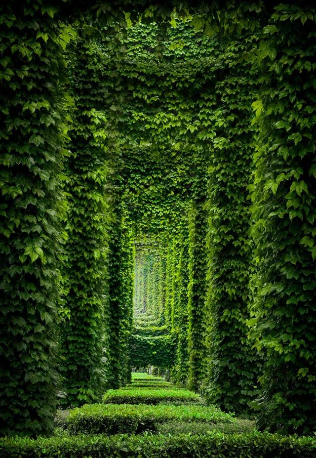 宝藏公交，移动的风景画廊