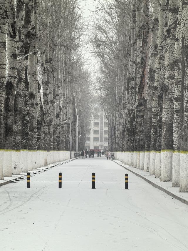 雪落京城！刚出炉的雪景大片收藏起来！