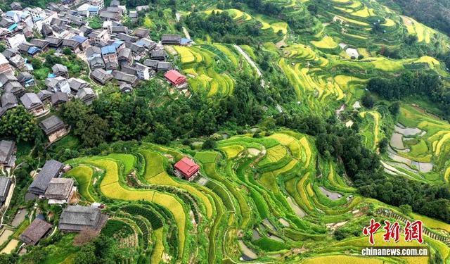 广西三江：雨后梯田风光美