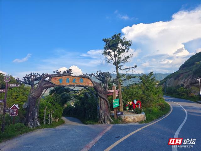 高清湖南丨花海与云海，隆回龙瑶幽谷的双重浪漫