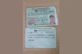 佛山一男子花9000元办假驾驶证被拘，惊呼“这么贵怎么可能是假的”图片
