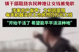 遭镇干部阻挠种地涉事农户发声：开始干活了，希望能平平淡淡种地图片