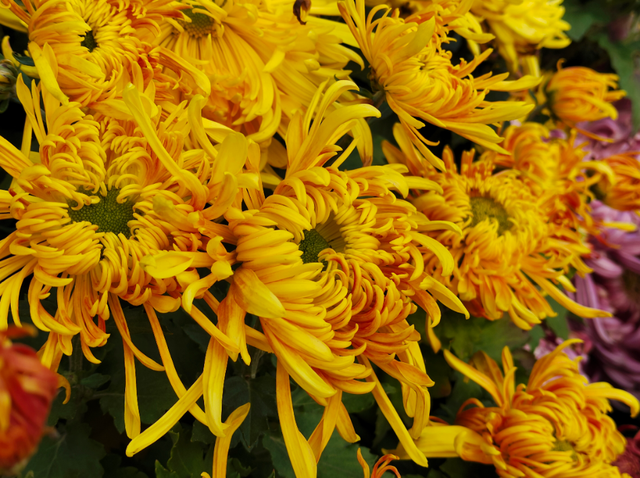 现在来开封，就做这三件事！