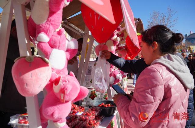 首届湟中草莓文化艺术季暨冬春季文旅活动启动