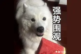 综合高中班、普职融通班，“3+2”、五年一贯制、“3+4”，都是啥？中招这些班，一文看懂图片