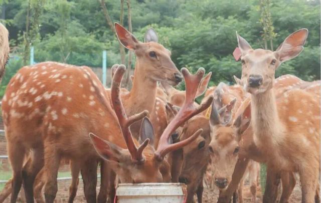 南漳秋色正当时！3个赏秋好去处，一键收藏绝美秋景