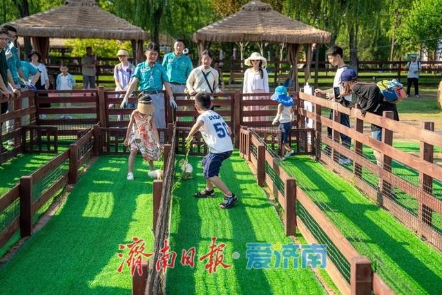 抓住暑假尾巴！济南野生动物世界日夜奇幻狂欢，甜蜜恋爱季点燃盛夏终章