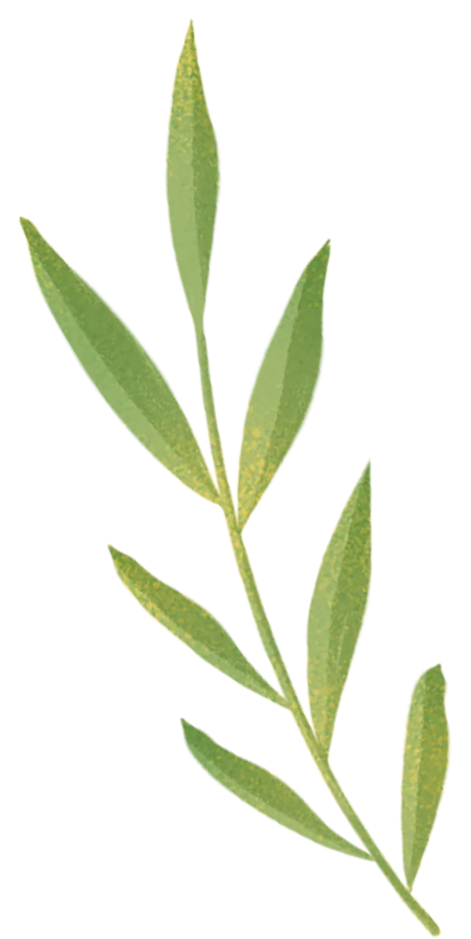 福小榕看城市丨十一月开启“古厝记忆+安全探秘”成长之旅