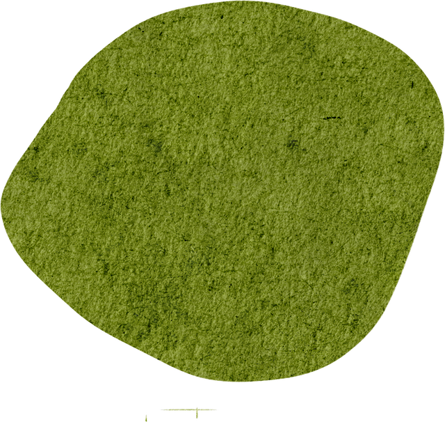 【遂川乡村游】“不去衙前看猛楠，游遍遂川也枉然”附新江古树秘境