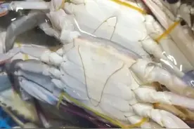 不少宁波人急了！等了快一个月，梭子蟹怎么越来越贵？图片