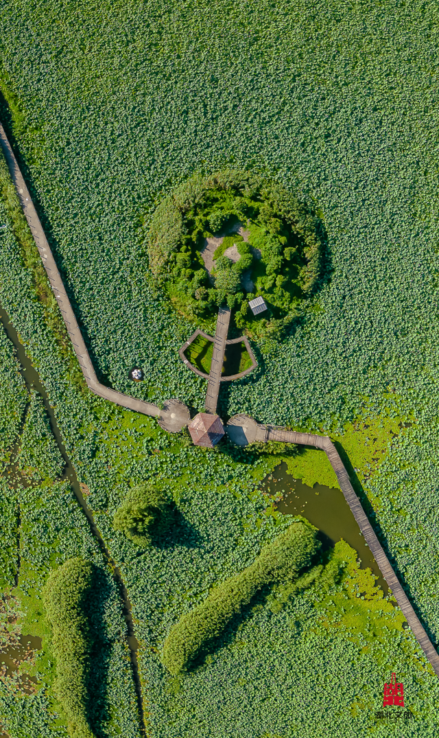 “多巴胺”旅游上新，跟着北北打卡“赤黄红”