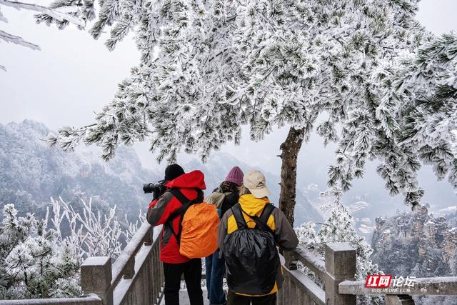 张家界的雪后云海，藏着湖南冬日的浪漫