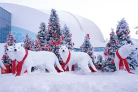 经典演出全面升级 哈尔滨极地公园春节期间很特别图片