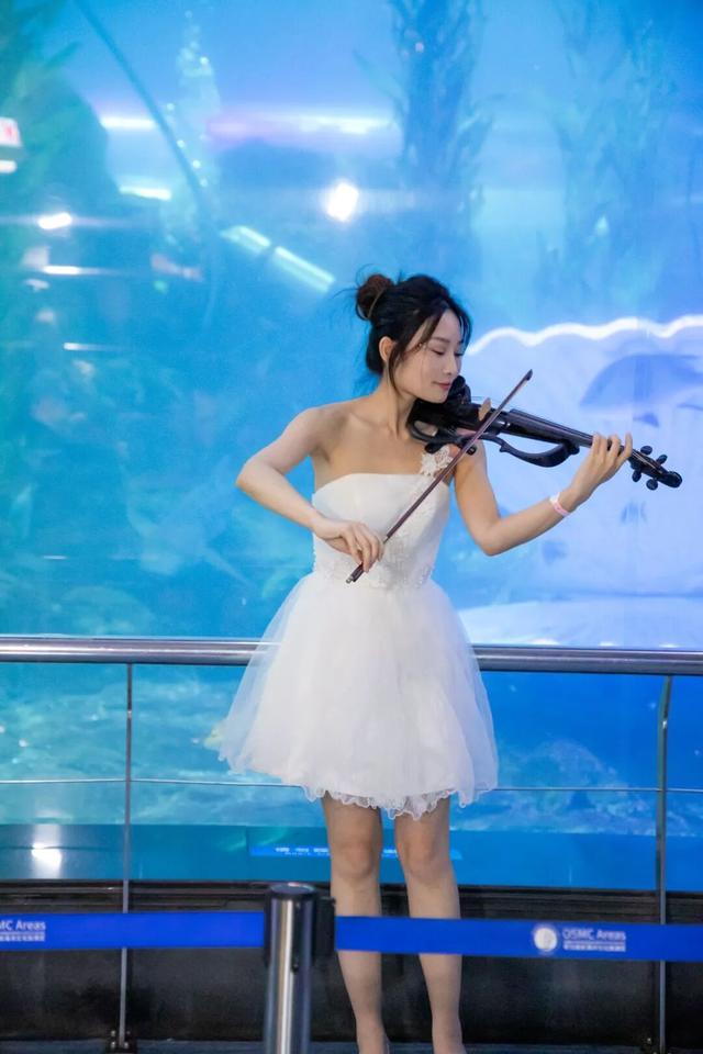 【家国同庆 悦享奥帆】每天50场次演出连轴转！海底世界国庆夜场重磅再启，成人票低至99元！