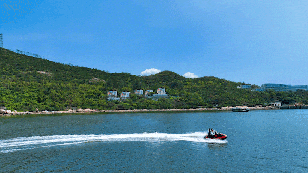 去粤港澳这篇就够了！最新指南→