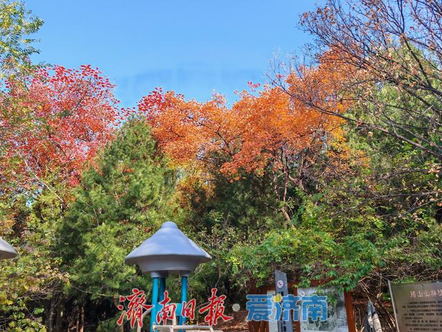 腊山冬日正当“红”| 一年四季 泉在济南