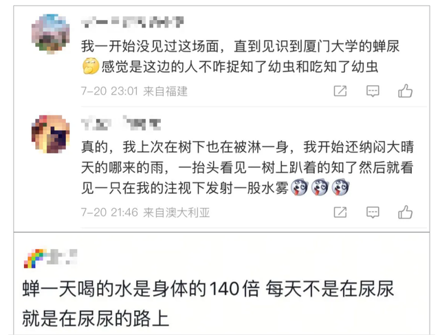 “被尿滋了一脸，还舔了舔……”最近很多人中招，实在崩溃！专家：今年是“大年”！