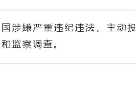 主动投案！山东寿光市人大常委会原委员张新国被查图片