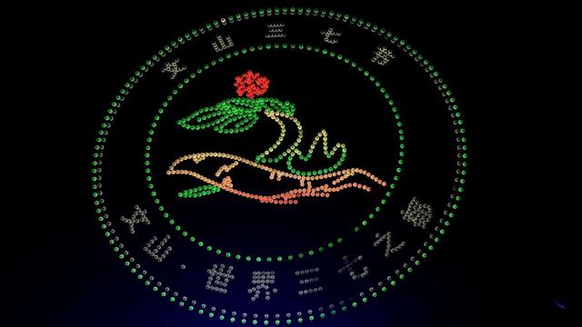 第十一届文山三七节开幕