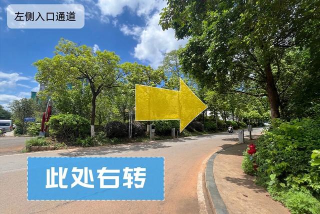 “梅”好时光观演指南丨出行、停车、检票攻略看这里↓↓↓