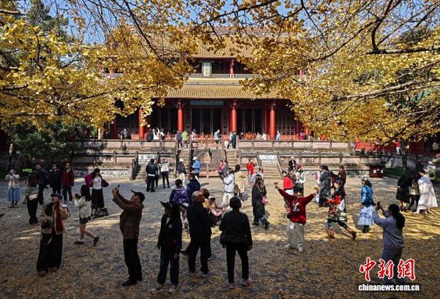 四川崇州：罨画池“金色”银杏引游人