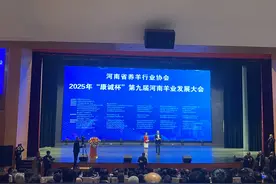 第九届河南羊业发展大会在确山开幕图片