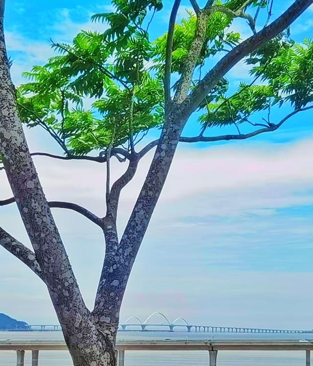 晚潮｜乌岩村的彩虹