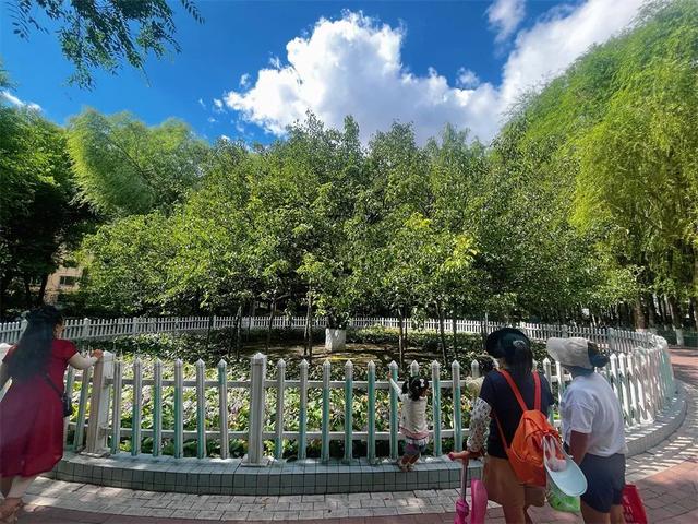 春华秋实的故事写了139年！哈尔滨古梨园百年老树悄然结果