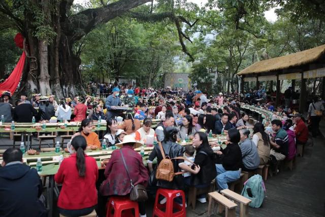 多图+视频！一起回看2025年白沙“啦奥门”雨林与您山兰文化活动精彩瞬间