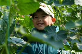春天来了，迎着和煦的春风，走进乡村里图片