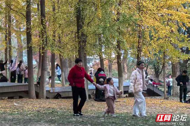 在株洲的钢琴广场，遇见一个被阳光烘焙的周末