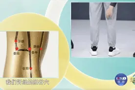 身上这个“窝”，藏着长寿秘诀！拍完腰好、腿好、身体好图片