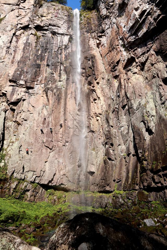 晚潮｜一叶知秋