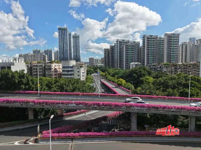 一大波“上新”！福州这一幕幕，太惊艳！不少人直呼“太好拍了”